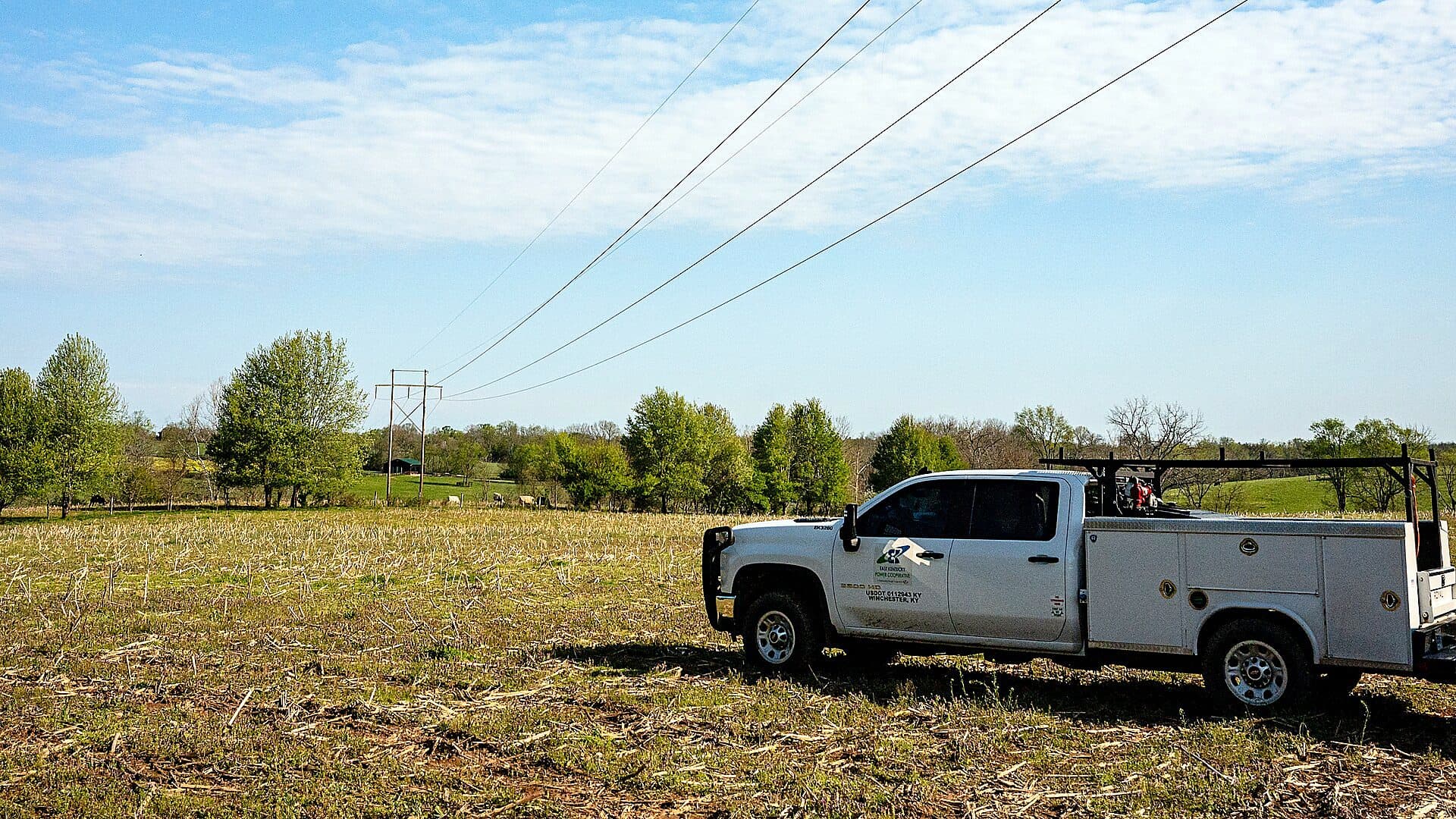 Rural electric cooperative power lines and poles carrying electricity through the Kentucky countryside